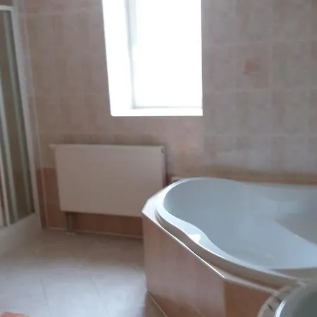 شقة Studio And Two-bedroom Lidicka *